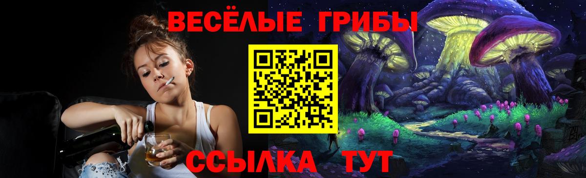 Галлюциногенные грибы MAGIC MUSHROOMS  Вход с VPN  Кандалакша  Псилоцибиновые грибы прущие грибы 